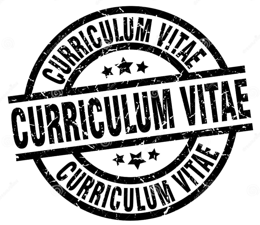 Como realizar un Curriculum 2026